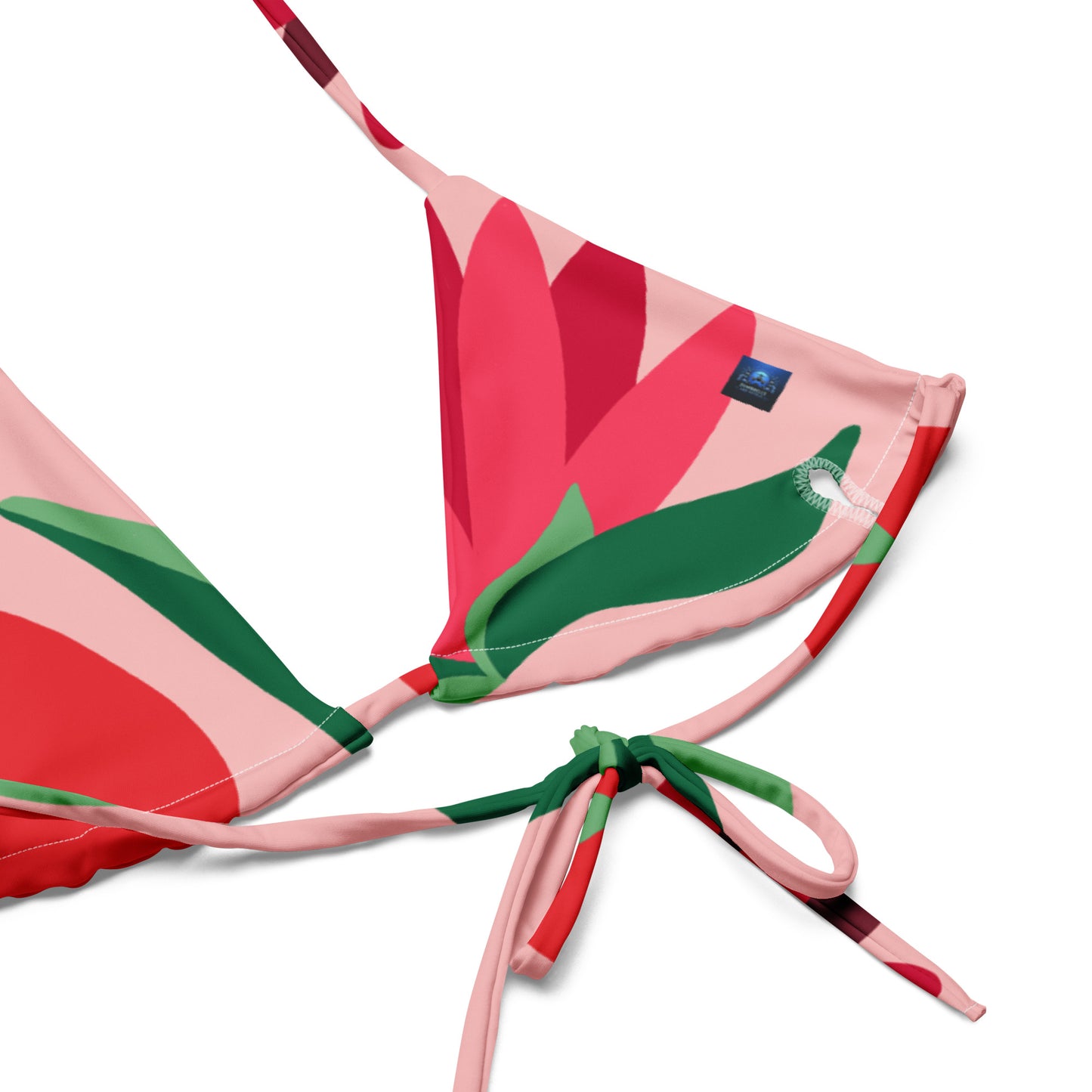 Pink Watermelon Type Pattern 2 String Bikini by Dumbbells and Hotels